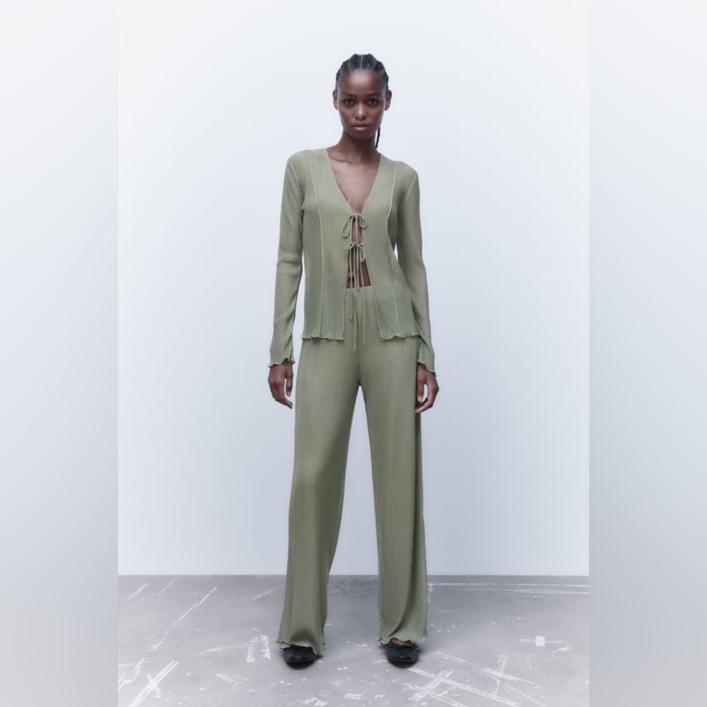 Zara Pleated Pants
